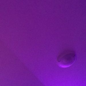 Meet your Posher, Mardie